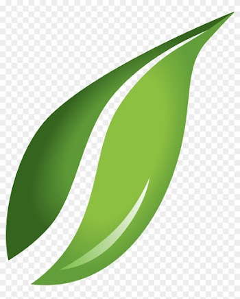 Fall Leaves Clip Art Transparent Background - Leaf Png
