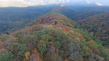 Fall Mountain Flyover Aerial Autumn Stock Video Footage ...