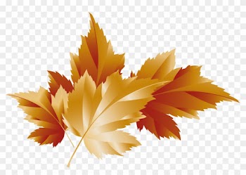 Fall Transparent Leaves Decor Picture - Maple Leaf