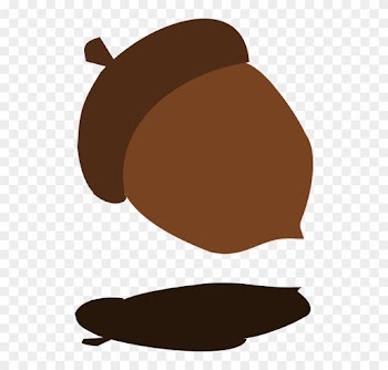 Fall Tree Acorn Shadow Falling Harvest Autumn - Acorn Falling From Trees Gif