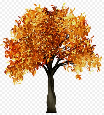 Fall Tree Branch Portable Network Graphics Trunk -  