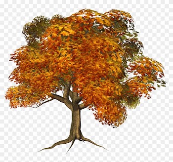 Fall Tree Clipart Png - Tree