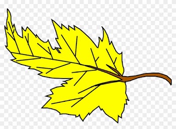 Fall Yellow Leaf Cartoon Plant Falling Leaves Jrekuw - Yellow Leaf Clip Art