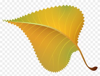 Fall Yellow Leaf Png Clipart Image - 40th Class Reunion