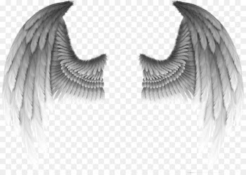 Fallen angel Devil Wing Demon - Devil's wings 