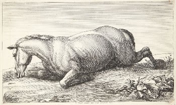 Fallen horse, facing left | Free Photo - rawpixel
