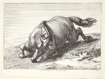 Fallen horse | Free Photo - rawpixel