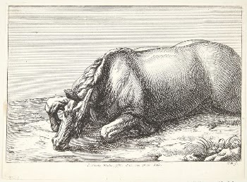Fallen horse | Free Photo - rawpixel