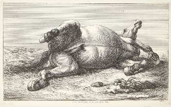 Fallen horse | Free Photo - rawpixel
