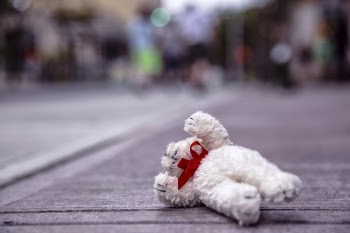 Fallen Teddy Bear Free Photo 
