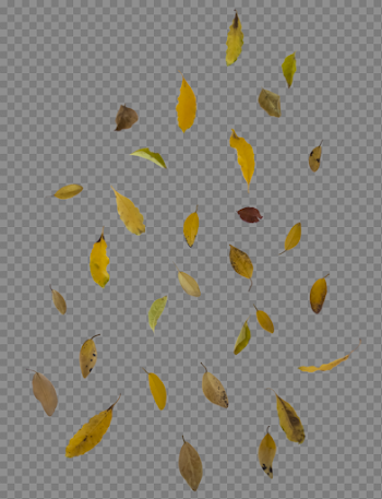 Falling Autumn Leaves Free PNG Image