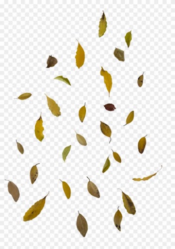 Falling Autumn Leaves Free Png Image - Falling Leaf Overlay Png