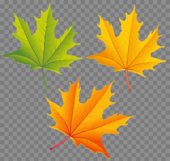 Falling Autumn Leaves PNG High-Quality Image