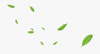 falling Leaves #autumn #foreground #background #wood - Daun Png Hd ...