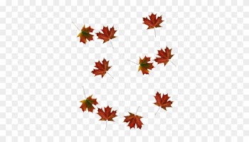 Falling Leaves Pictures And Wallpaper Fallen Tree - Tree Leaves Falling Png