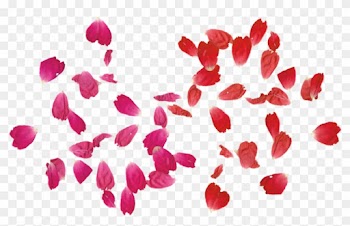 Falling Rose Leaves Png Transparent Free By Theartist100 - Rose Leaves Png