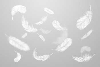Falling white feathers on gray | Free Photo - rawpixel