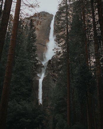 falls near forest