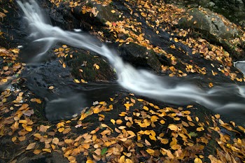 Falls on Black Stones