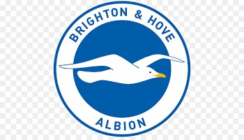 Falmer Stadium Brighton & Hove Albion F.C. Premier League Liverpool F.C. Manchester United F.C. - premier league 