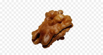 false morel
