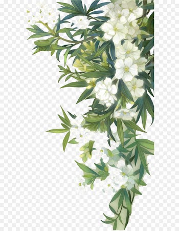 Familiar Wild Flowers Watercolour Flowers - White blooming flowers and green leaves 