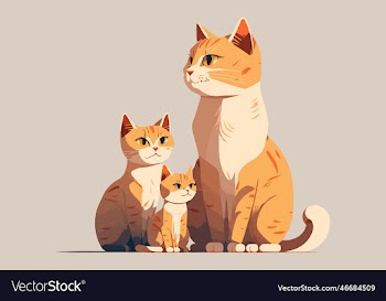 family cats