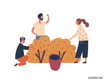 Family collecting berries flat vector illustration