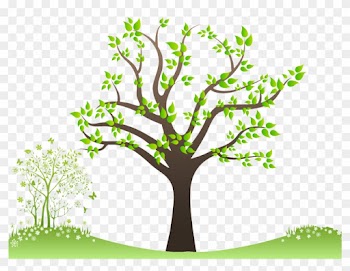 Family Tree - Angle Of Elevation Sun Tree