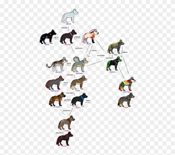 Family Tree By Finis-wolf - Family Tree Of A Wolf