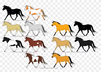 Family Tree By Hallelujahimsetfree - Spirit Horse Family Tree