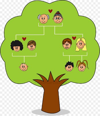 Family tree Child Genealogy Nuclear family - Family 