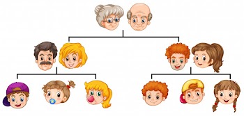 Family tree Free Vector