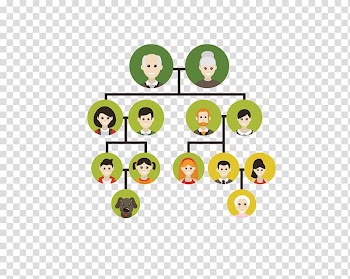 Family tree Genealogy Ancestor, Family tree transparent background PNG clipart