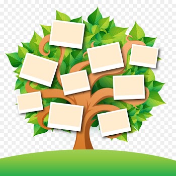 Family tree Genealogy book - Vector family tree with leaves 