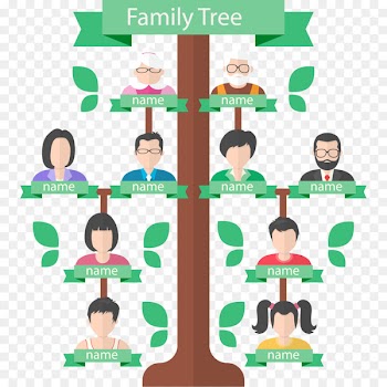 Family tree Genealogy Generation - Vector family tree 