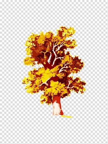 Family tree Oak Deciduous, Autumn tree transparent background PNG clipart