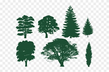 Family Tree Silhouette Roots Download - Trees Silhouettes