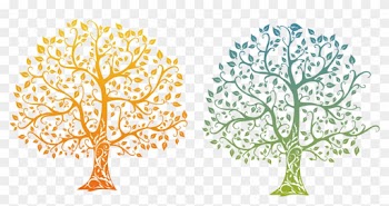 Family Tree Tree Of Life Drawing - Personalized Wedding Wall Art