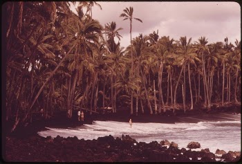 Famous Black Sand Beach at Kaimu, | Free Photo - rawpixel
