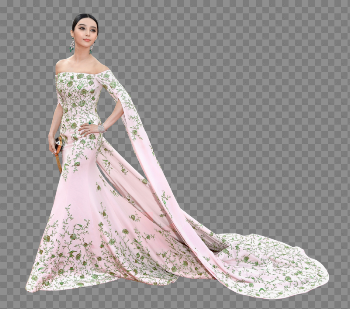 Fan Bingbing File