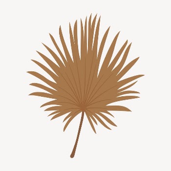 Fan palm leaf clipart, cute | Free PSD Illustration - rawpixel