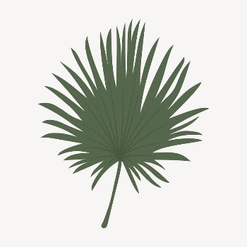 Fan palm leaf collage element, | Free Vector Illustration - rawpixel
