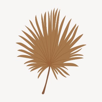 Fan palm leaf collage element, | Free Vector Illustration - rawpixel
