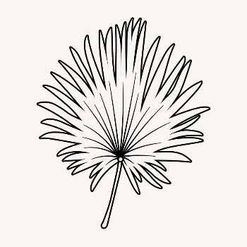 Fan palm leaf doodle collage | Free Vector Illustration - rawpixel