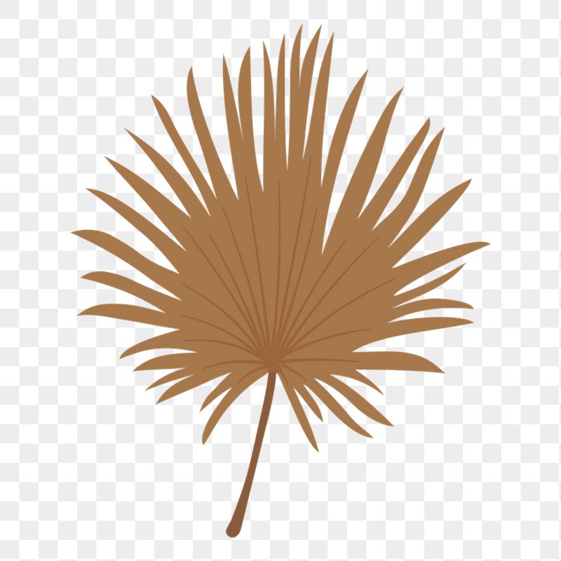 Fan palm leaf png sticker, | Free PNG Illustration - rawpixel