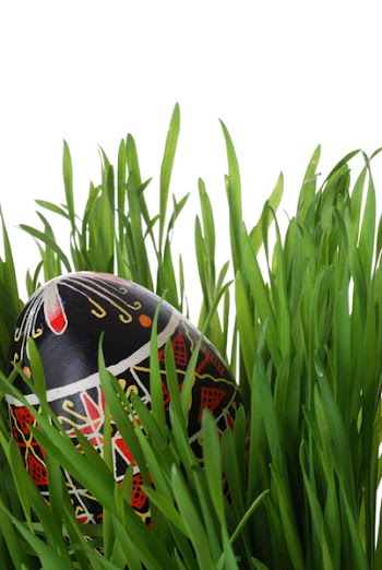 Fancy Decorated Easter Egg in Grass