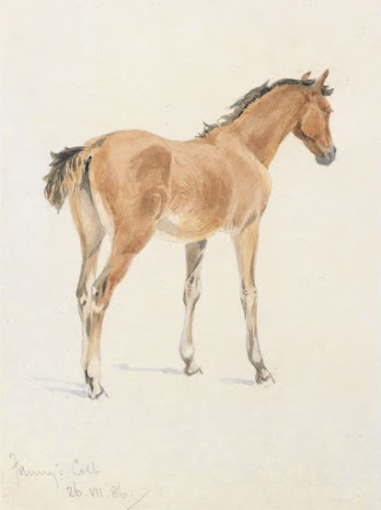 "Fanny's Colt", July 26, 1886 | Free Photo - rawpixel