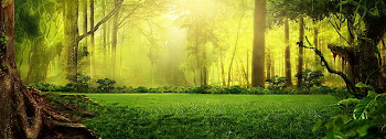 Fantasy Forest Green Background Taobao PNG, Clipart, Banner ...