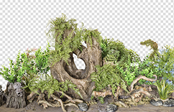Fantasy forest PNG Cutout. by juansixx1961 on DeviantArt